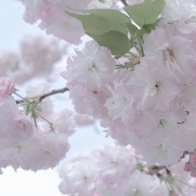 兽设写实风格绘画兽圈群